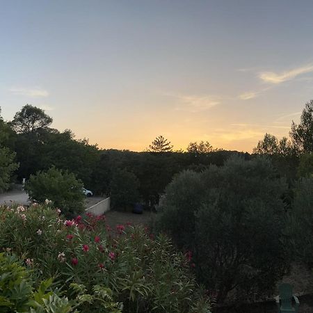 Natur & Jasmin Chambres D'Hotes Naturistes En Provence Lorgues Bagian luar foto