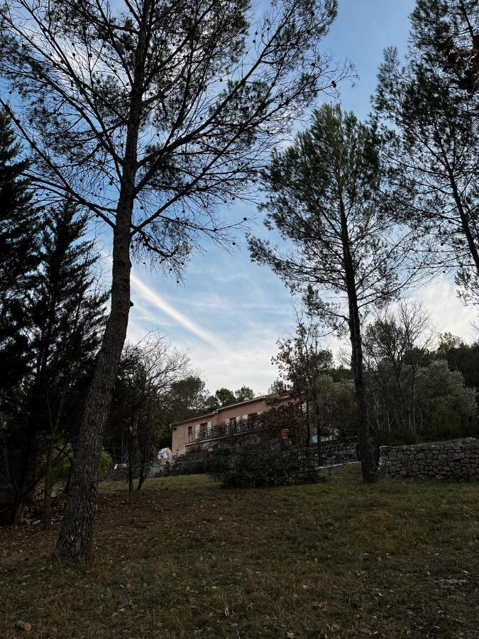 Natur & Jasmin Chambres D'Hotes Naturistes En Provence Lorgues Bagian luar foto