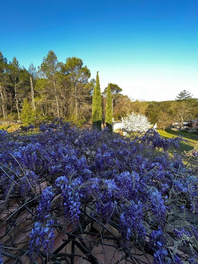 Natur & Jasmin Chambres D'Hotes Naturistes En Provence Lorgues Bagian luar foto