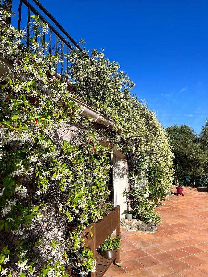 Natur & Jasmin Chambres D'Hotes Naturistes En Provence Lorgues Bagian luar foto